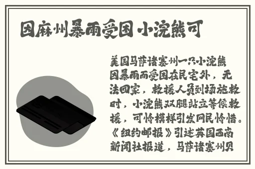 3dmax漫画免费观看